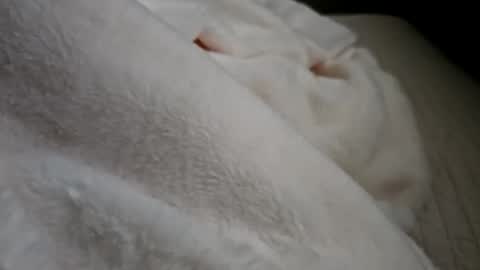 Snapshot of what_whaaat chatting on 21, 9, 2025 what_whaaat online show from 21, 9, 2025