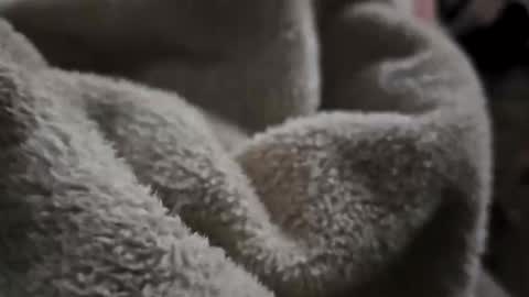 what_whaaat online show from 2, 11, 2025