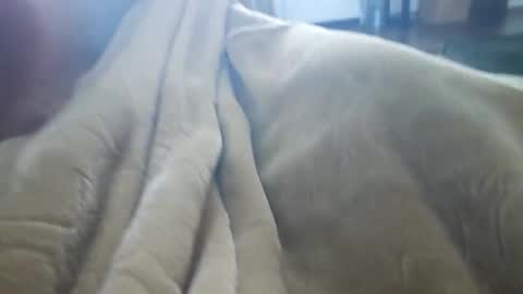 what_whaaat online show from 3, 11, 2025