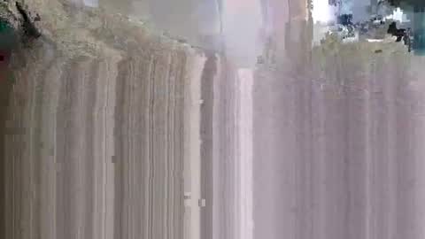 what_whaaat online show from 9, 11, 2025