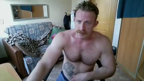 Snapshot of whitebull97 chatting on 2, 8, 2026 WhiteBull online show from 2, 8, 2026