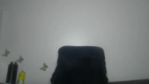 whitecocklover_ online show from 8, 1, 2026