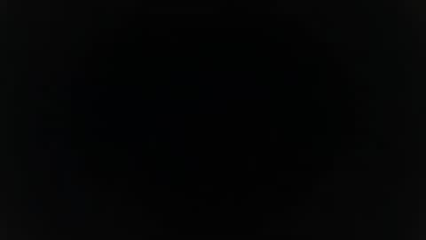 Whiteduke online show from 10, 9, 2025