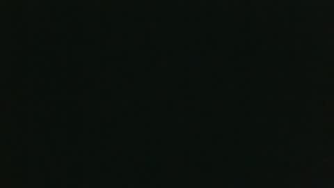 whitehead_lion online show from 15, 12, 2025