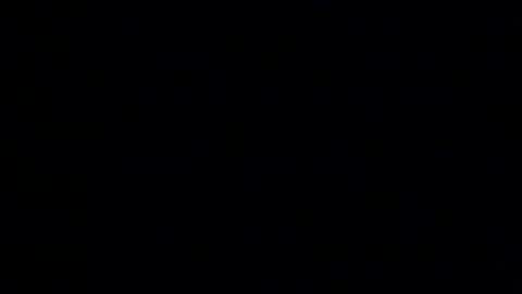 whitehead_lion online show from 14, 1, 2026