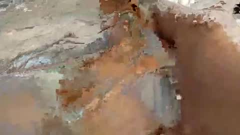 whitelava_4u online show from 30, 11, 2025