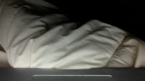 wholesomebull00 online show from 10, 11, 2025