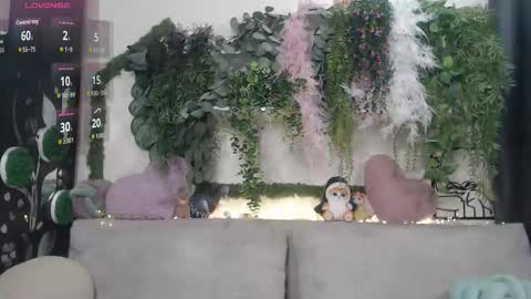 wiagra online show from 23, 12, 2025