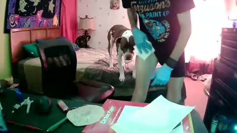 Wichita Wes online show from 6, 11, 2025