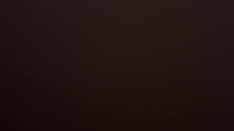 VI online show from 14, 2, 2026