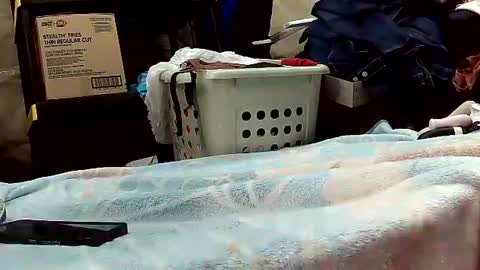 Ryder Harder online show from 20, 10, 2025