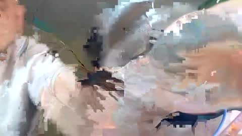 Snapshot of wikibitch chatting on 10, 10, 2025 WikiBitch online show from 10, 10, 2025