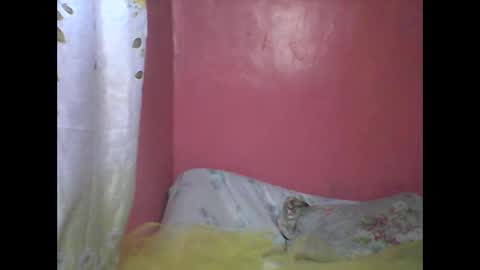 wild_sunflower11 online show from 25, 12, 2024