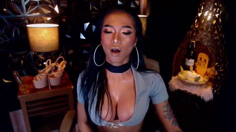 wildara online show from 17, 1, 2025