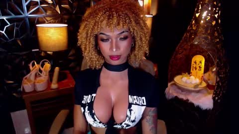 wildara online show from 3, 3, 2025