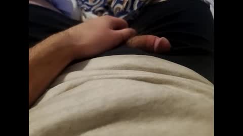 Wild-at-heart online show from 11, 1, 2025