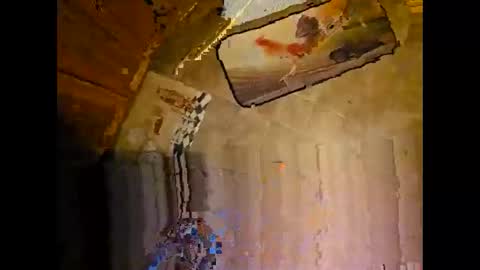 wildman2900 online show from 8, 12, 2024