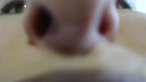 WildRose L - check my Pinned tweet if you dont see me online within 5 minutes after Ive sent email notifications online show from 26, 4, 2026