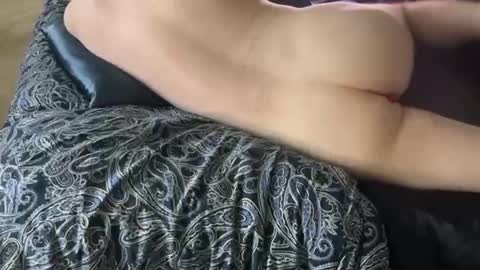 wildtravis online show from 14, 2, 2026