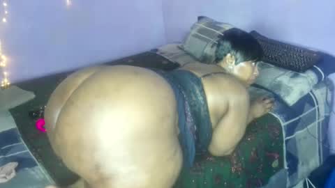 wilmaassylum online show from 20, 10, 2025