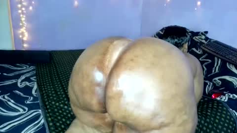 wilmaassylum online show from 20, 11, 2025