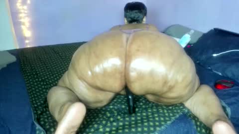 wilmaassylum online show from 18, 12, 2025