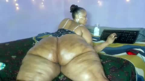 wilmaassylum online show from 20, 12, 2025