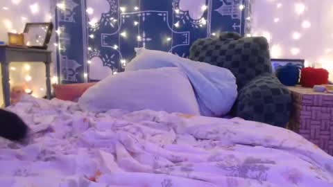 Eevie online show from 19, 12, 2024