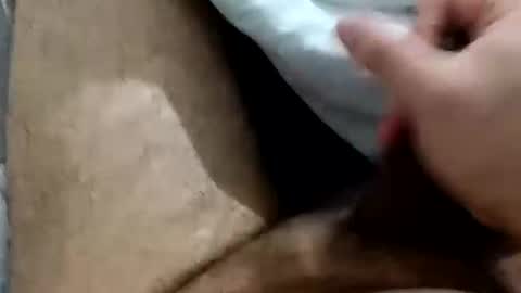 wolfganghanzel online show from 28, 4, 2026