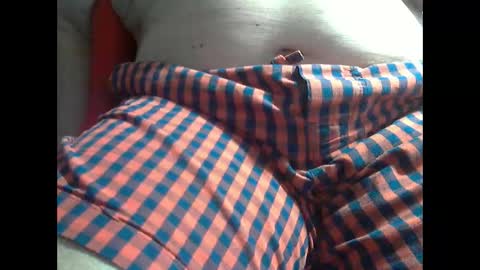 wolfoerl online show from 30, 9, 2025