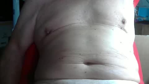 wolfoerl online show from 11, 11, 2025