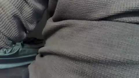 wolfreapsurass online show from 24, 2, 2026