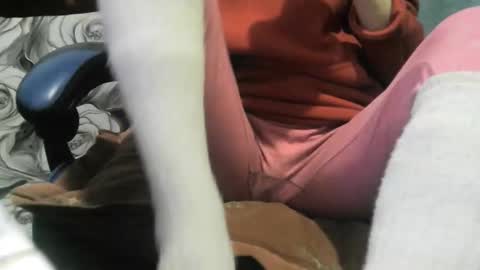 Snapshot of wolfxsnow chatting on 28, 2, 2026 wolfxsnow online show from 28, 2, 2026