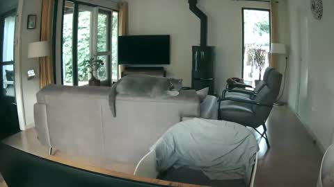 woodwurm and Snoeske online show from 9, 10, 2025