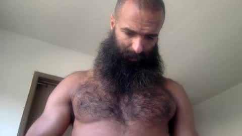 woof_wolf37 online show from 19, 5, 2026