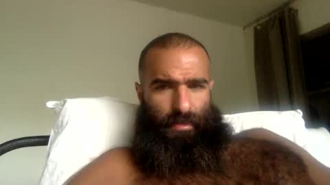woof_wolf37 online show from 24, 5, 2026