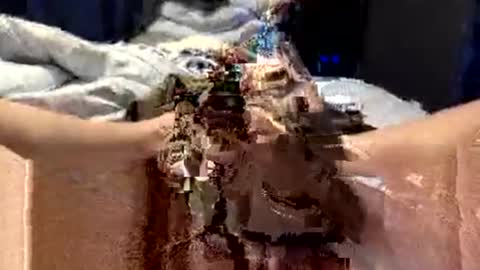 workplace_proximity_associate online show from 28, 9, 2025