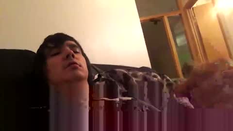 Zack online show from 8, 1, 2025