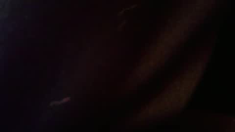 wrangleat0r online show from 12, 2, 2026