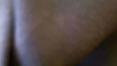 wrangleat0r online show from 15, 4, 2026