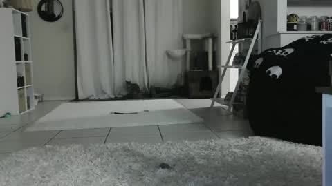 Crystal Lake online show from 12, 1, 2025