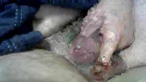 Charles online show from 11, 3, 2025