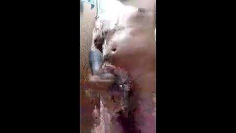 Blk online show from 29, 3, 2026