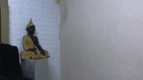 ximena online show from 17, 2, 2025