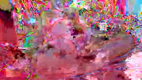 xixo696969 online show from 15, 12, 2025