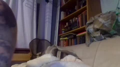 Snapshot of xlpack69 chatting on 17, 12, 2024 John online show from 17, 12, 2024