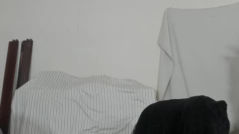 MetalstudMaster online show from 9, 2, 2026