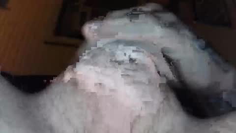 xoxossdfm8894982459 online show from 20, 12, 2025