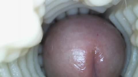 xoxowtf online show from 15, 3, 2026