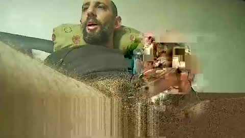 xposed_edger online show from 18, 10, 2025